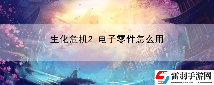 生化危機(jī)2電子零件怎么用