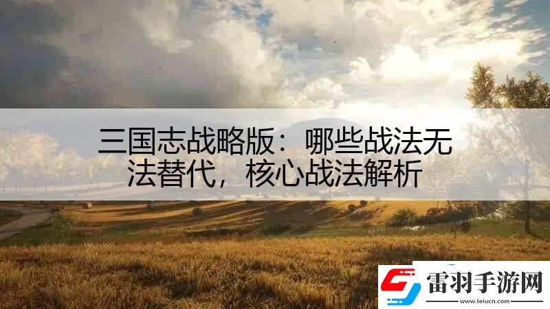 三國志戰(zhàn)略版