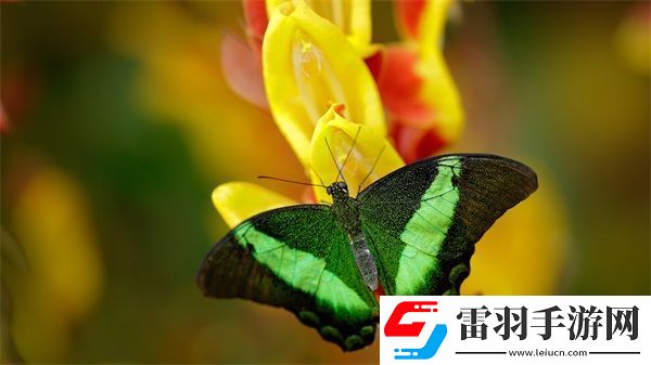 糙漢1/Nh核心優(yōu)勢