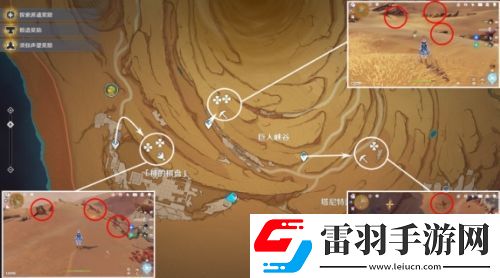 原神沙脂蛹在哪采