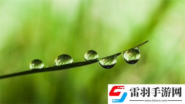 麻豆產(chǎn)國品一二三產(chǎn)品區(qū)別