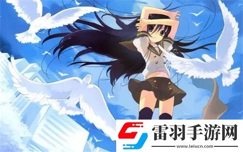 77網(wǎng)站