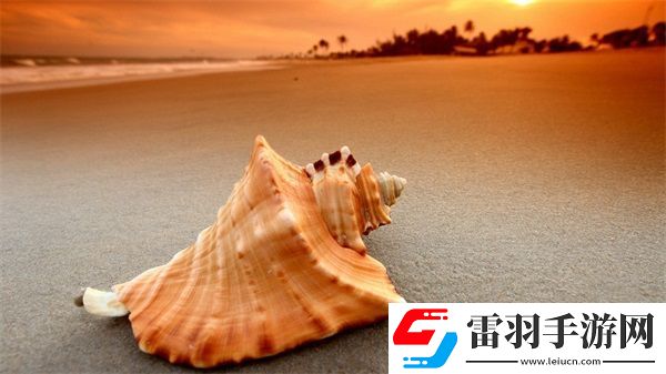 被合租糙漢