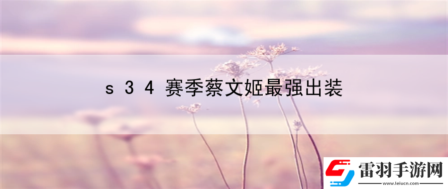 s34賽季蔡文姬最強(qiáng)出裝