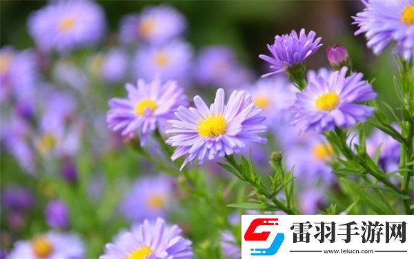 雙龍入戶(hù)三人行