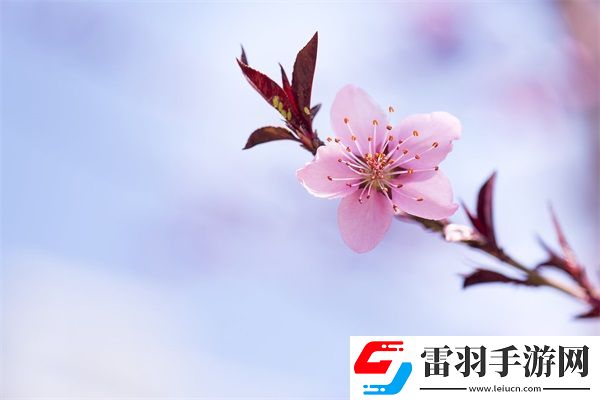 江教授的日常生活