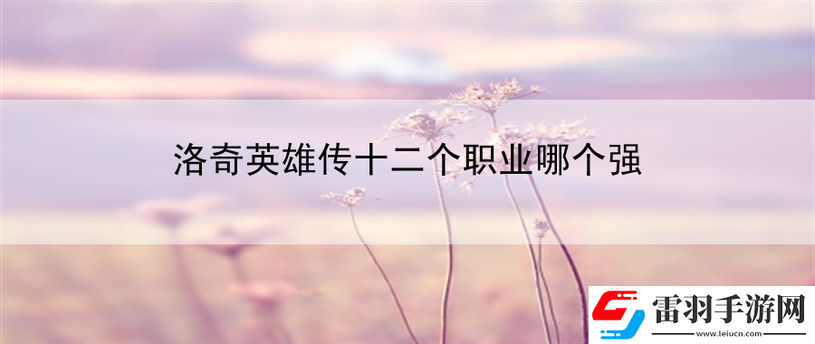 洛奇英雄傳十二個職業(yè)哪個強(qiáng)
