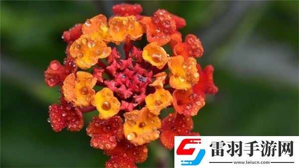 網(wǎng)站免費(fèi)進(jìn)入窗口軟件2023