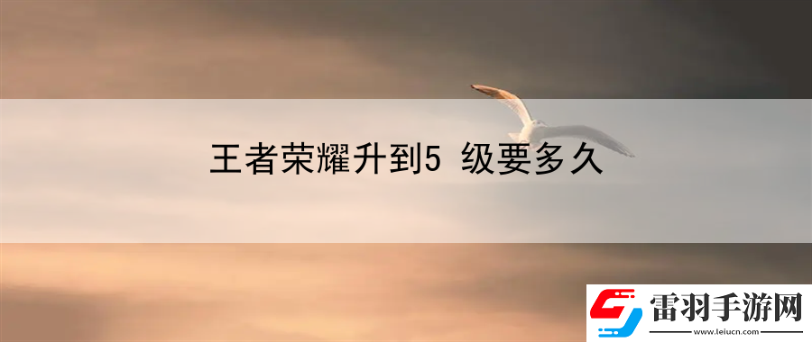 王者榮耀升到5級(jí)要多久