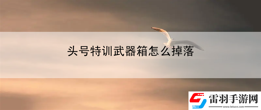 頭號(hào)特訓(xùn)武器箱怎么掉落