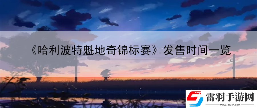哈利波特魁地奇錦標賽發(fā)售時間一覽