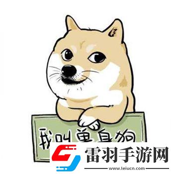 雙十一單身節(jié)到了請關(guān)愛身邊的單身狗
