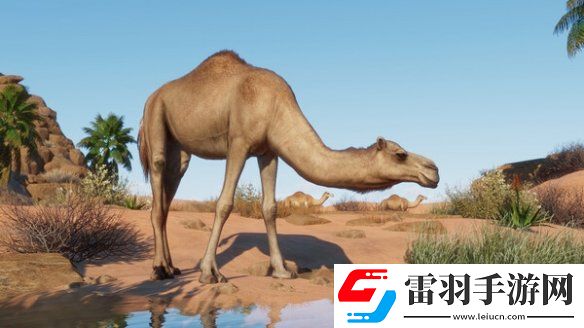 動物園之星新DLC“干旱動物”發(fā)售本體史低促銷中