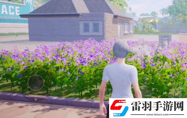 和平精英花圃種子在哪買(mǎi)
