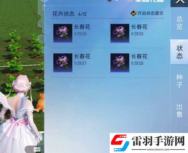 和平精英花圃種子在哪買(mǎi)