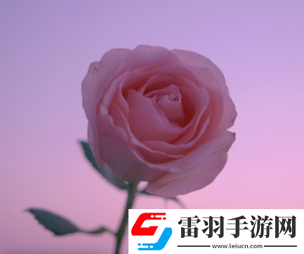 那些冷門而有韻味的簽名空山無人水流花開