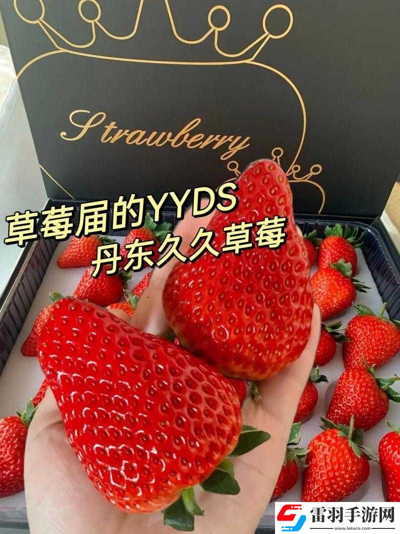 久久草莓