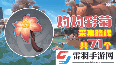 原神灼灼彩菊位置在哪里原神灼灼彩菊采集點(diǎn)采集路線詳解