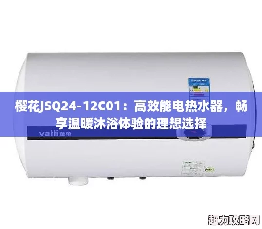 櫻花JSQ24