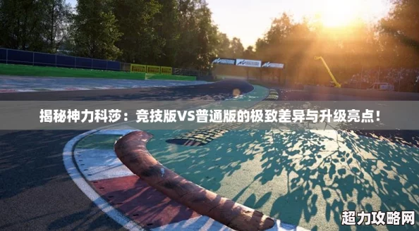 揭秘神力科莎