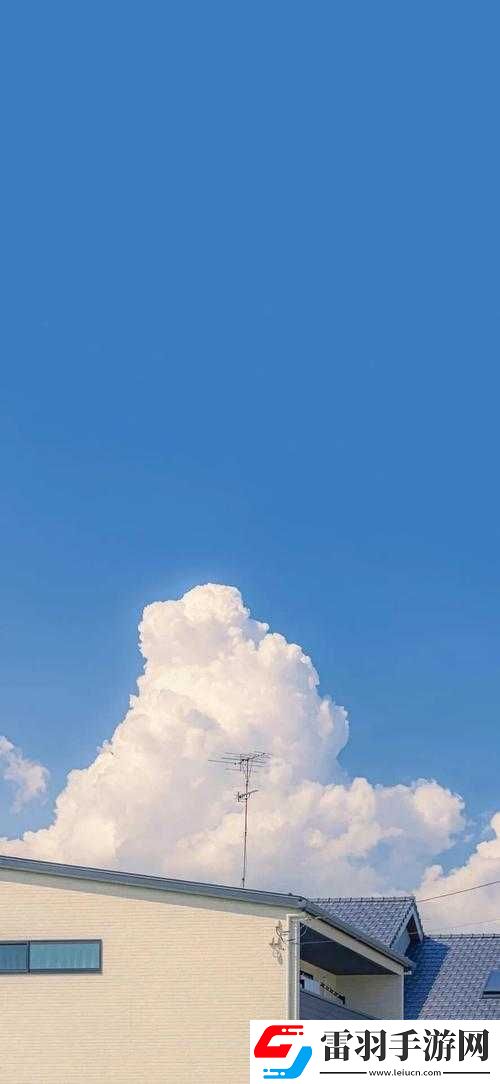 wallpaper