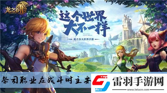 祭司職業(yè)在戰(zhàn)斗時主要的功能是