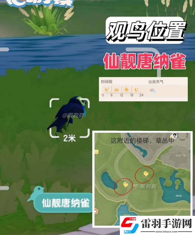 心動(dòng)小鎮(zhèn)觀鳥9級(jí)具體位置攻略