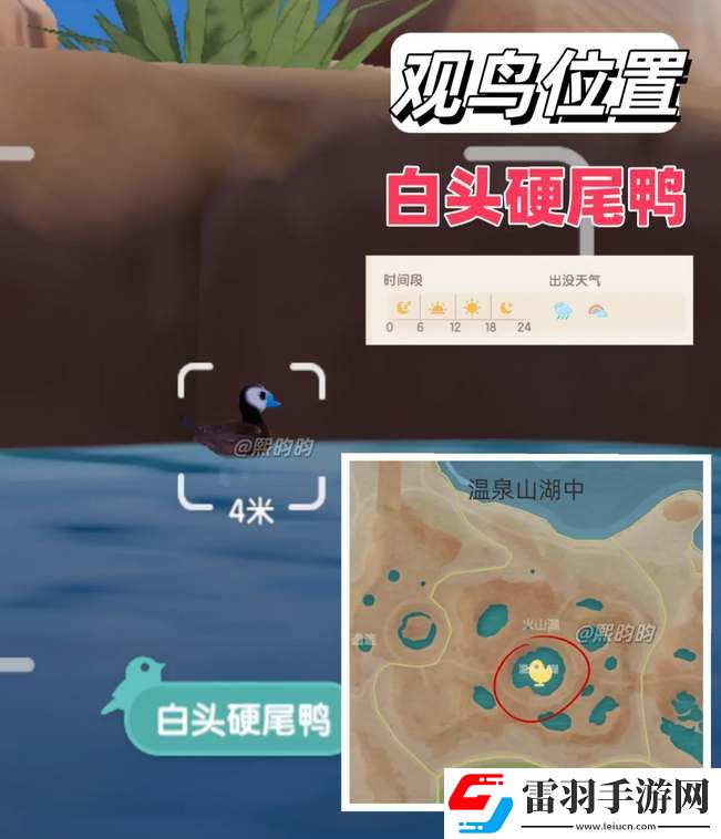 心動(dòng)小鎮(zhèn)觀鳥9級(jí)具體位置攻略