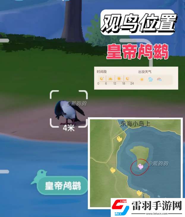 心動(dòng)小鎮(zhèn)觀鳥9級(jí)具體位置攻略