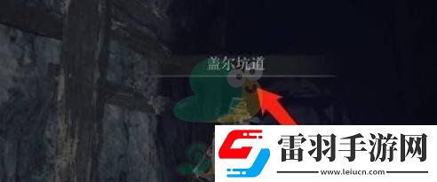 艾爾登法環(huán)名刀月影怎么才能獲得呢
