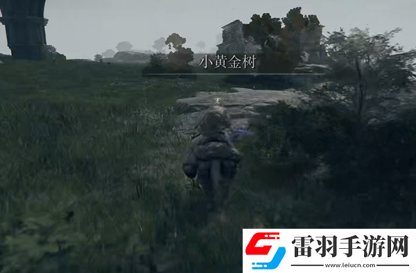 艾爾登法環(huán)日蝕紋熨斗形盾在哪里怎么獲得