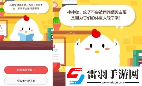 今天螞蟻莊園5月17日莊園小課堂答案為什么下雨天時(shí)