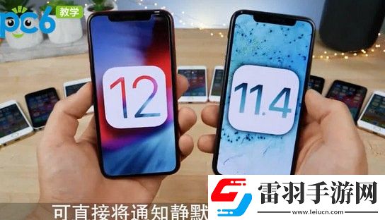 12更新了什么功能