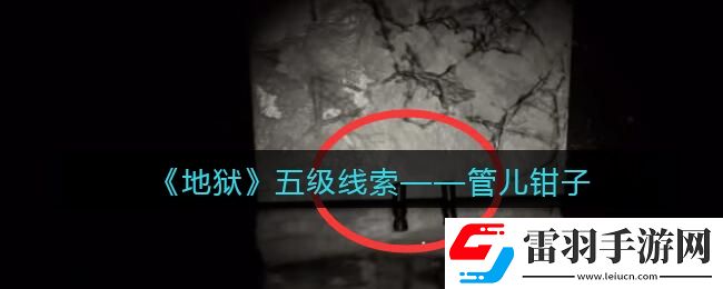 孫美琪疑案地獄管兒鉗子在哪里