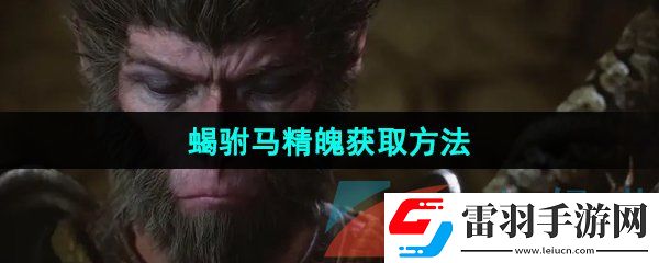 黑神話悟空蝎駙馬精魄怎么獲取
