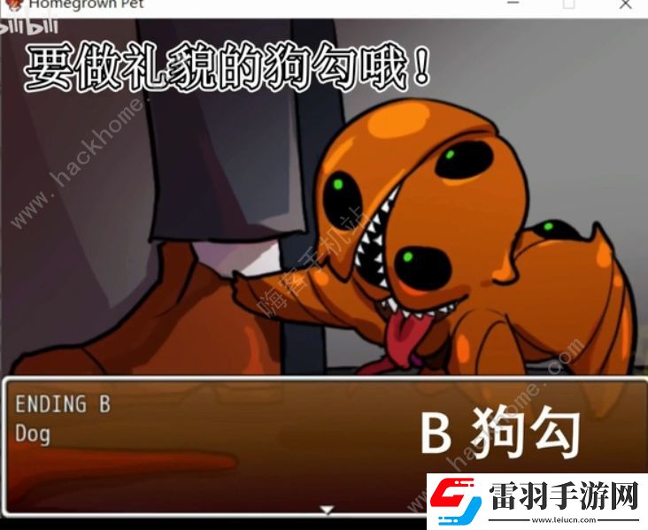 Homegrownpet怎么玩家養(yǎng)寵物玩法技巧