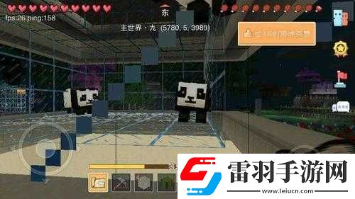 奶塊熊貓的馴服攻略與喂養(yǎng)指南