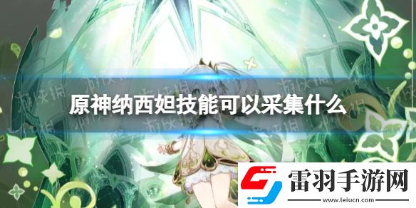 原神納西妲技能可以采集什么原神納西妲可采集材料一覽