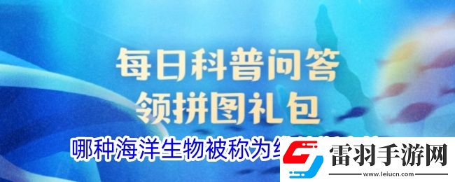 哪種海洋生物被稱為維納斯之梳