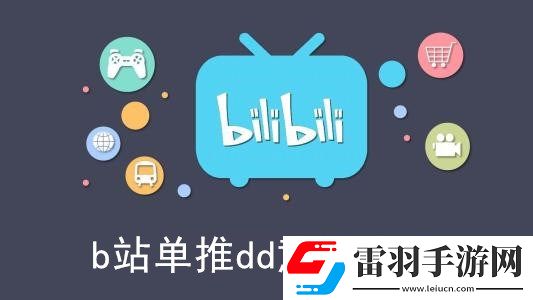 單推dd是什么意思