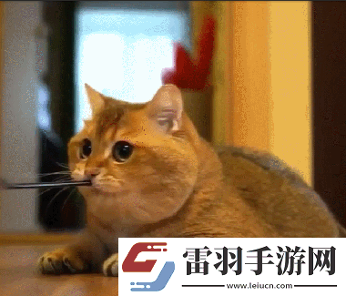 炎炎夏日再窮不能沒空調(diào)妹子驚嘆你連風油精都不如
