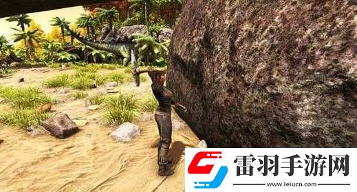 方舟生存進(jìn)化石頭怎么速刷