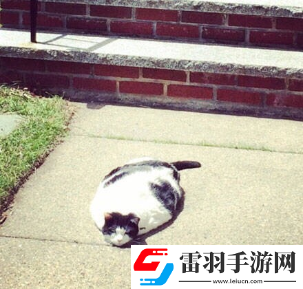炎炎夏日再窮不能沒空調(diào)妹子驚嘆你連風油精都不如