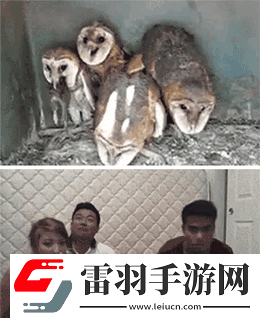 炎炎夏日再窮不能沒空調(diào)妹子驚嘆你連風油精都不如