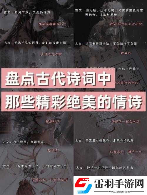 她始慢迎迎合古文之深意