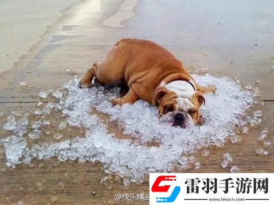 炎炎夏日再窮不能沒空調(diào)妹子驚嘆你連風油精都不如