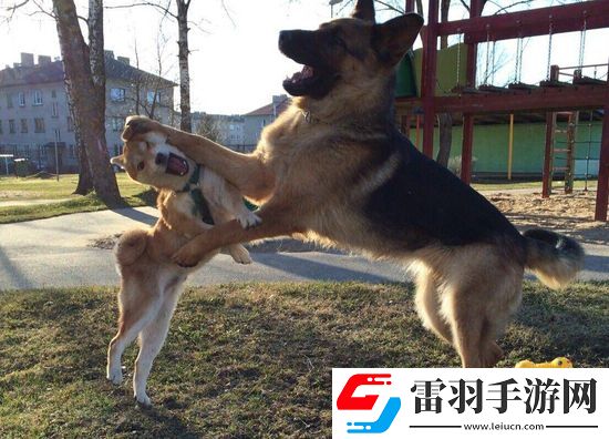 炎炎夏日再窮不能沒空調(diào)妹子驚嘆你連風油精都不如