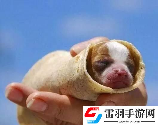 炎炎夏日再窮不能沒空調(diào)妹子驚嘆你連風油精都不如
