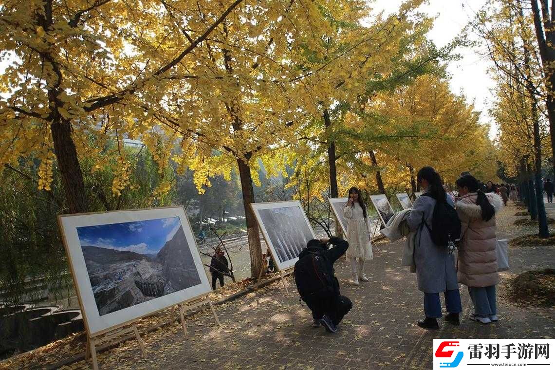 模糊老狼精品卡