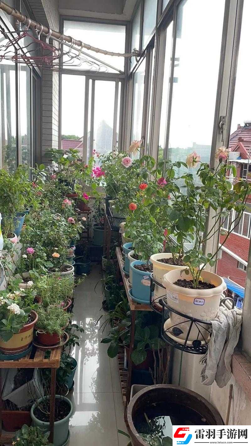 照顧小花園技巧